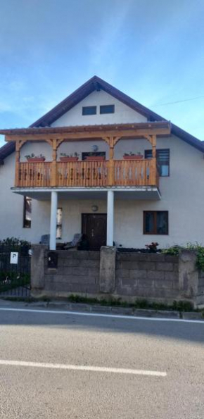 Vila Felicia Borşa